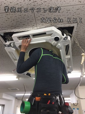 S__25878540.jpg