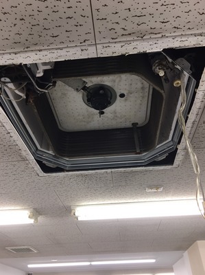 S__4005917.jpg