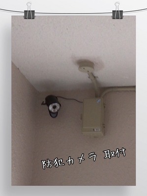 S_6699141431431.jpg