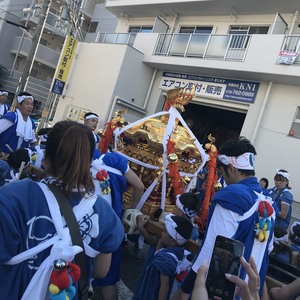 S_6825548044927.jpg