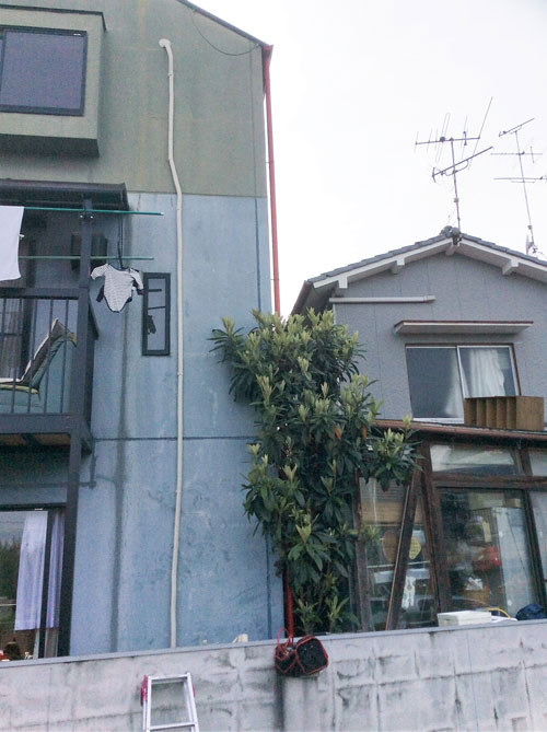 http://eakonya.com/blog/item_images/IMG_1121.JPG