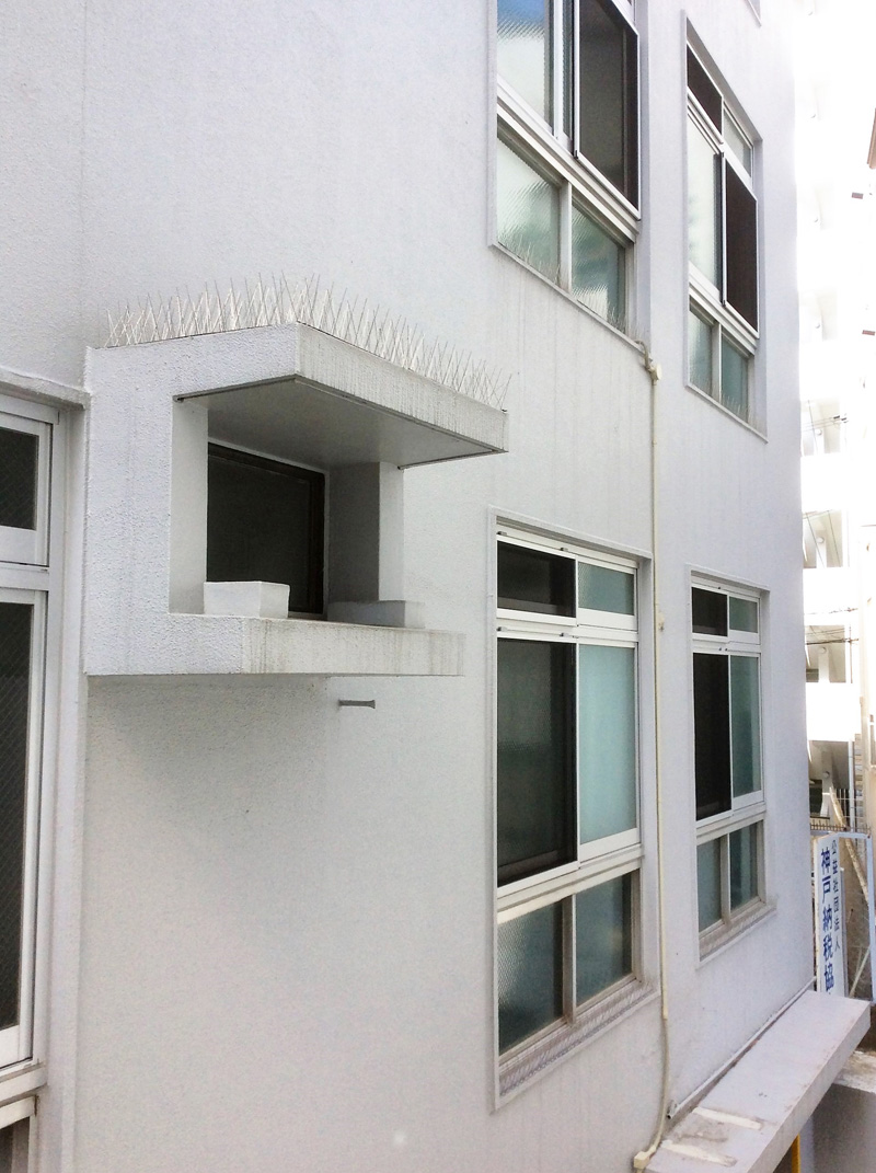 http://eakonya.com/blog/item_images/IMG_1219.JPG
