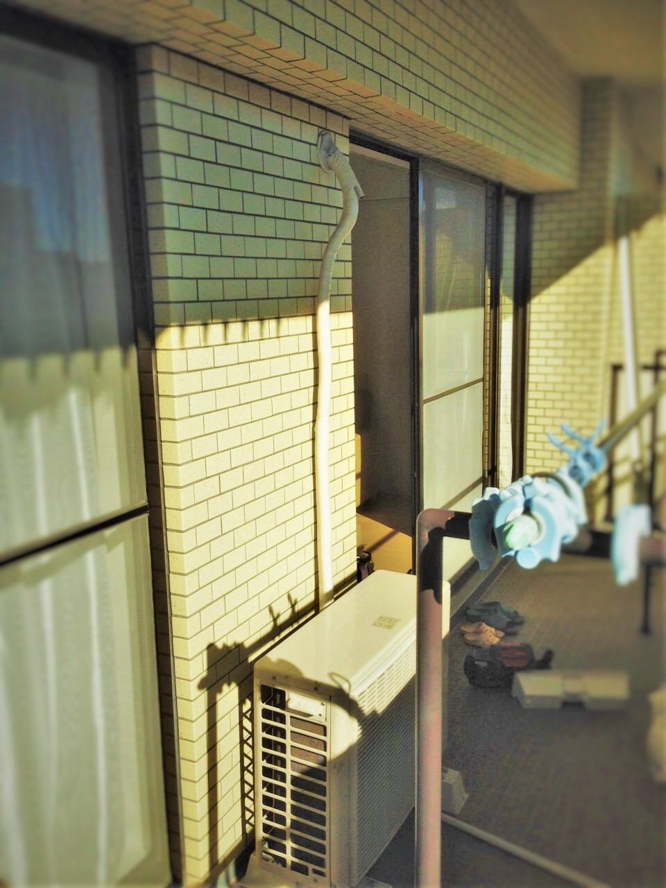 http://eakonya.com/blog/item_images/IMG_6256.JPG