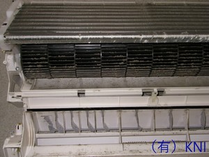 K1812222.jpg
