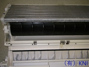 K1812223.jpg